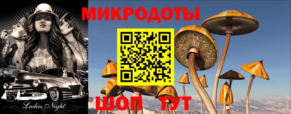 Галлюциногенные грибы Psilocybe  Вход с VPN  Протвино 